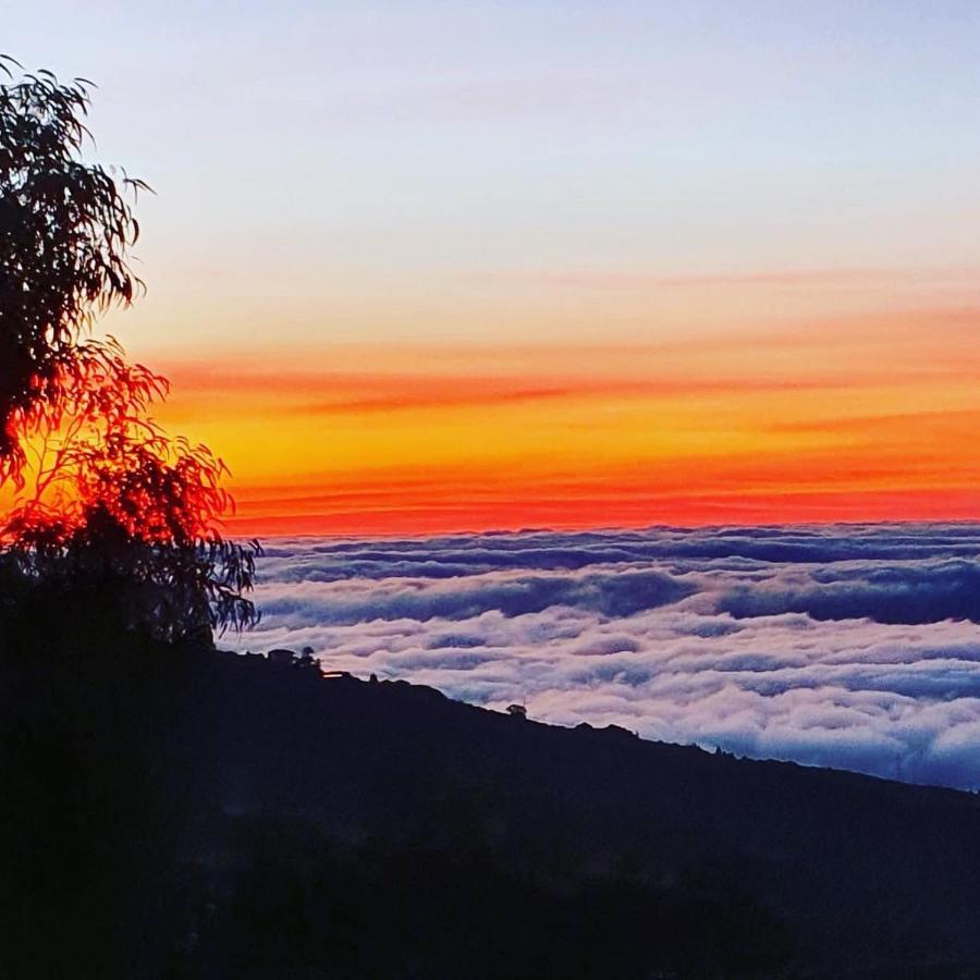 Ifonche Tenerife Nature Retreat מראה חיצוני תמונה