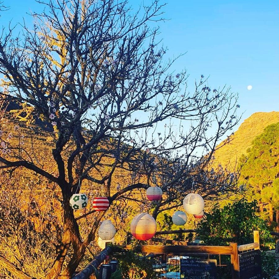 Ifonche Tenerife Nature Retreat מראה חיצוני תמונה